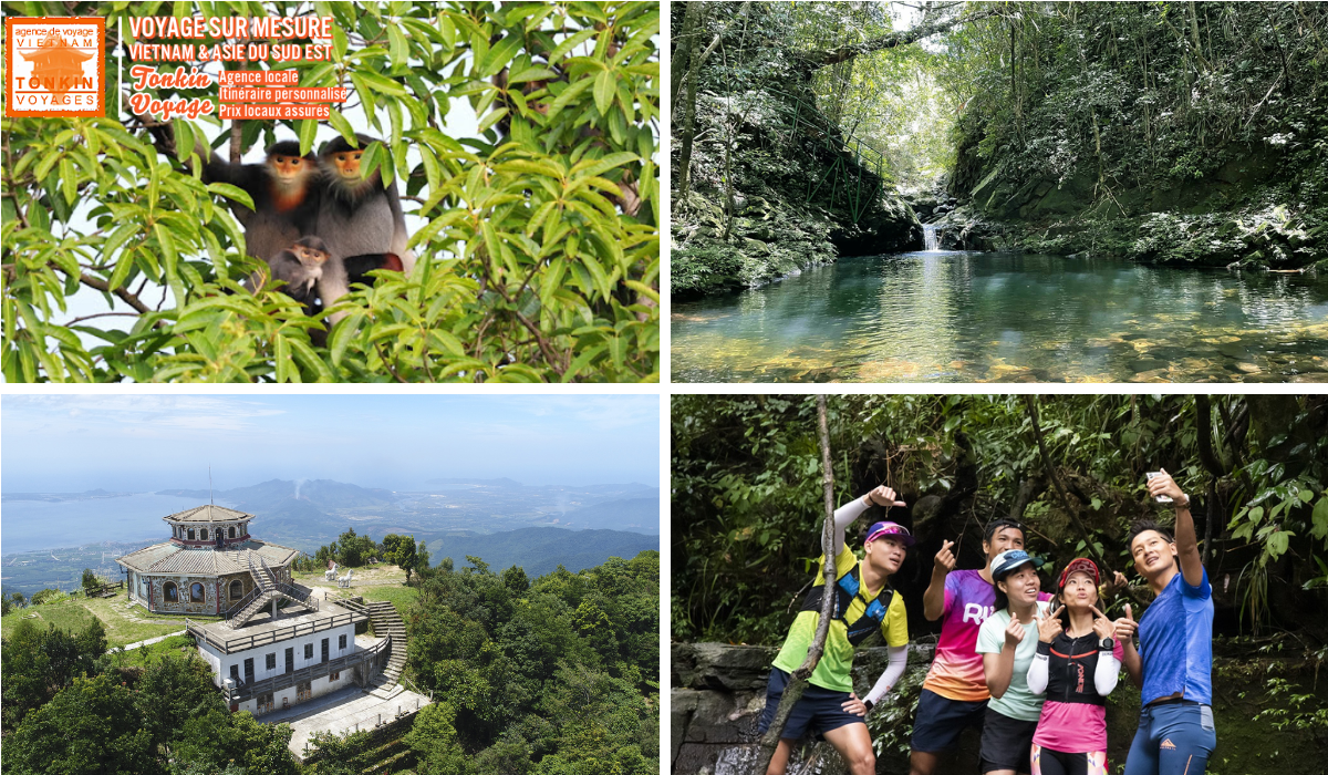 Meilleurs safaris au Vietnam parc national de Bach Ma